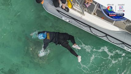 กรมทะเล ร่วมกับเครือข่าย ปล่อยเต่าเป้แดง พร้อมสำรวจสถานภาพเต่าทะเลฝั่งอันดามัน