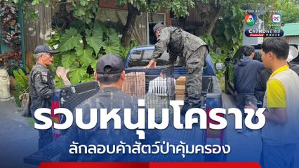 สายตรวจ สบอ.7 (นครราชสีมา) รวบหนุ่มโคราช ลักลอบค้าสัตว์ป่าคุ้มครอง มูลค่าเกือบ 200,000 บาท