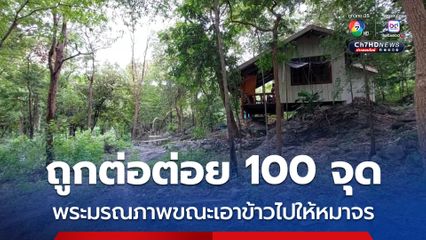 ถูกต่อต่อย 100 จุด พระมรณภาพขณะเอาข้าวไปให้หมาจร