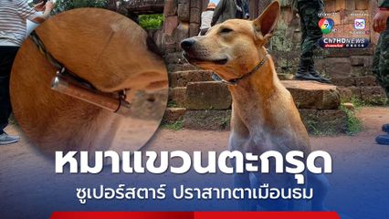 'เจ้าจ๊อด' หมาแขวนตะกรุด ซูเปอร์สตาร์ ปราสาทตาเมือนธม