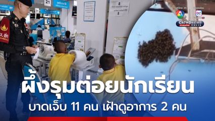 ผึ้งรุมต่อยนักเรียน บาดเจ็บ 11 คน เฝ้าดูอาการ 2 คน