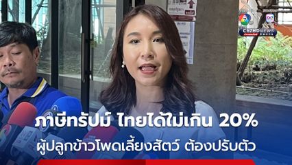 ศิริกัญญาคาดภาษีทรัมป์ ไทยได้ไม่เกิน 20% ผู้ปลูกข้าวโพดเลี้ยงสัตว์ต้องปรับตัว