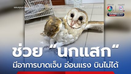 ช่วย “นกแสก” มีอาการบาดเจ็บ อ่อนแรง บินไม่ได้