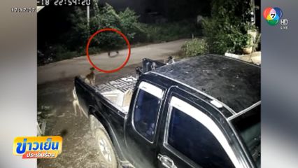 ขนหัวลุก ! เงาปริศนาครึ่งท่อน เดินผ่านหน้าบ้าน