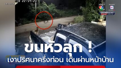 ขนหัวลุก ! เงาปริศนาครึ่งท่อน เดินผ่านหน้าบ้าน