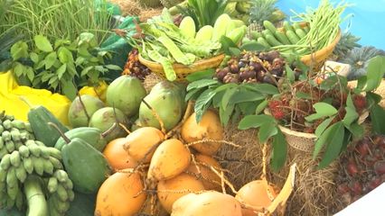 องคมนตรี ไปติดตามการดำเนินโครงการอันเนื่องมาจากพระราชดำริ ที่จังหวัดกระบี่