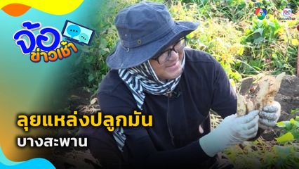 ลุยแหล่งปลูกมันบางสะพาน