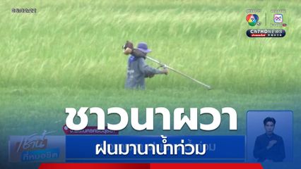 ชาวนาผวา ฝนมานาน้ำท่วม จ.พระนครศรีอยุธยา