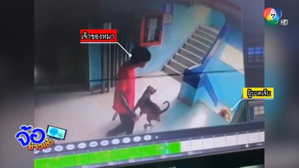 สุนัข ! กระโจนใส่ยาย ตกบันได 9 ขั้น จ.สมุทรปราการ
