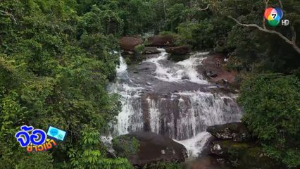 ใช่หรือเมืองไทย ? วิวทะเลหมอกยามเช้า ที่อุทยานแห่งชาติภูลังกา