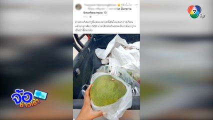 ส้มโอ แพงกว่าทุเรียน