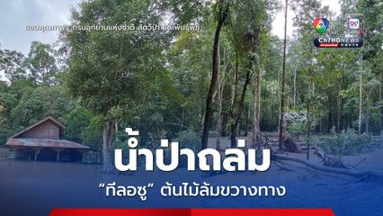 น้ำป่าถล่ม ทีลอซู ต้นไม้ล้มขวางทาง เจ้าหน้าที่เร่งกู้สถานการณ์ 