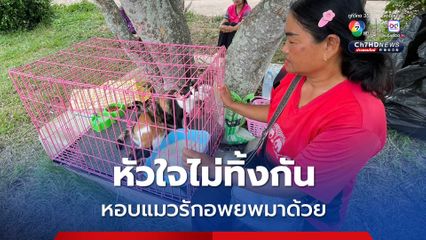 น้ำตาร่วง ขอให้รบเป็นครั้งสุดท้าย หอบแมวแสนรักอพยพมาศูนย์พักพิง 