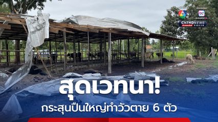 กระสุนปืนใหญ่กัมพูชา ตกใส่บ้านเรือนชาวสุรินทร์พังเสียหายทั้งหลัง คร่าชีวิตวัว 6 ตัว บางตัวนอนหายใจรวยรินรอเวลาสิ้นใจ