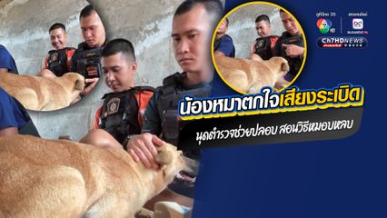 น้องหมากลัวเสียงระเบิดการสู้รบไทย-กัมพูชา เข้าไปหลบในบังเกอร์ ได้ตำรวจคอยปลอบ