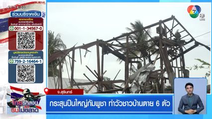 กระสุนปืนใหญ่กัมพูชา ทำวัวชาวบ้านตาย 6 ตัว