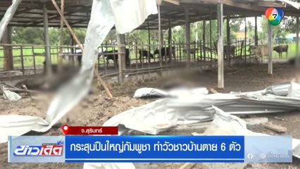 กระสุนปืนใหญ่กัมพูชา ทำวัวชาวบ้านตาย 6 ตัว