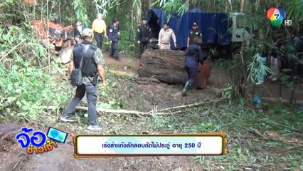 เร่งล่าแก๊งลักลอบตัดไม้ประดู่ อายุ 250 ปี