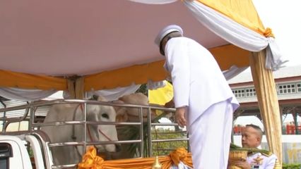 ประธานองคมนตรี เป็นผู้แทนพระองค์ไปในการบำเพ็ญพระราชกุศลปล่อยโค นก และปลา เนื่องในโอกาสวันเฉลิมพระชนมพรรษา พระบาทสมเด็จพระเจ้าอยู่หัว วันที่ 28 กรกฎาคม 2568