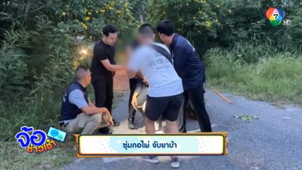 ซุ่มกอไผ่ จับยาบ้า