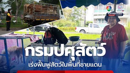 กรมปศุสัตว์ระดมเจ้าหน้าที่ปศุสัตว์เร่งฟื้นฟูสุขภาพสัตว์ในพื้นที่ชายแดน