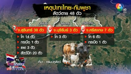 ปะทะไทย-กัมพูชา สัตว์ตาย 48 ตัว