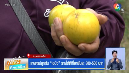 เกษตรปลูกต้น เอบิว รายได้ดีกิโลกรัมละ 300-500 บาท