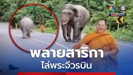 นาทีระทึก พระจีวรบิน วิ่งหนีพลายสาริกา ช้างป่าเขาใหญ่