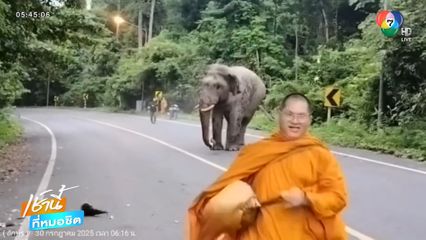 จีวรบิน เพราะวิ่งหนีช้างป่า