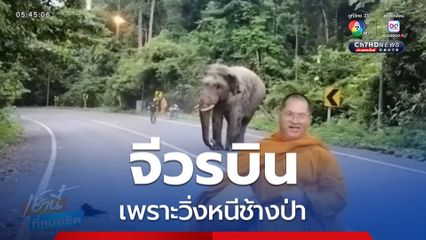 จีวรบิน เพราะวิ่งหนีช้างป่า