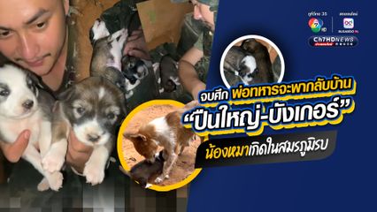 ชาวเน็ตฮีลใจ ความน่ารักน่าเอ็นดูทั้งทหารไทยและน้องหมาที่เกิดในสมรภูมิรบชายแดนไทยกัมพูชา