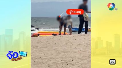หนุ่มใจร้ายโยนกระต่ายลงชายหาด