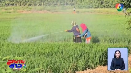 รับจ้างฉีดพ่นยา คิวแน่น หลังห้ามบินโดรน จ.อุทัยธานี