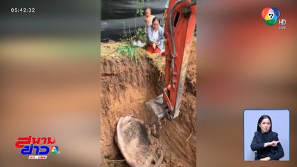 ฝังแล้ว ยายด่อน ควายเผือก จ.นครราชสีมา