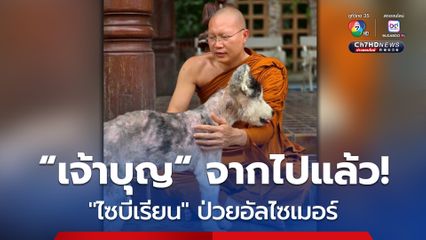 “พระครูอ๊อด” วัดเจดีย์หลวง แจ้งข่าวเศร้า “เจ้าบุญ” สุนัขพันธุ์ไซบีเรียน ป่วยโรคอัลไซเมอร์ จากไปอย่างสงบแล้ว