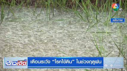 เตือนระวัง โรคไข้ดิน ในช่วงฤดูฝน