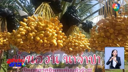 คนท้องกินฟรี อินทผลัม