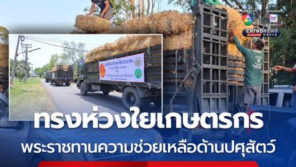 กรมสมเด็จพระเทพฯ พระราชทานความช่วยเหลือด้านปศุสัตว์ บรรเทาความเดือดร้อนผู้เลี้ยงสัตว์ที่ได้รับผลกระทบจากการสู้รบ