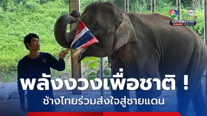 โชว์พลังงวงเพื่อชาติ ช้างไทยร่วมส่งใจไปชายแดน