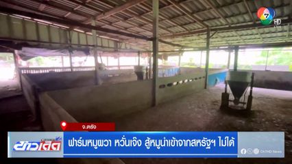 ฟาร์มหมูผวา หวั่นเจ๊ง สู้หมูนำเข้าจากสหรัฐฯ ไม่ได้