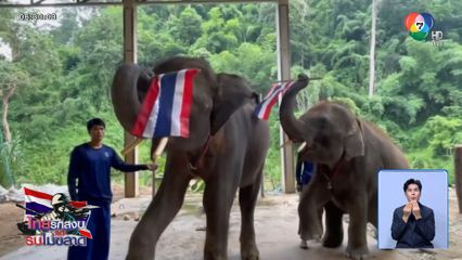 ช้างส่งแรงใจถึงชายแดน