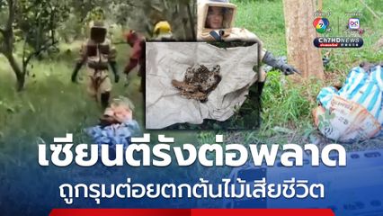 นายพรานเซียนตีรังต่อ-รังผึ้งขาย พลาด ถูกต่อต่อยตกต้นไม้เสียชีวิตอนาถ