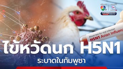 ไข้หวัดนก H5N1 ระบาดในกัมพูชา รัฐบาลเฝ้าระวัง แนะสังเกตอาการ