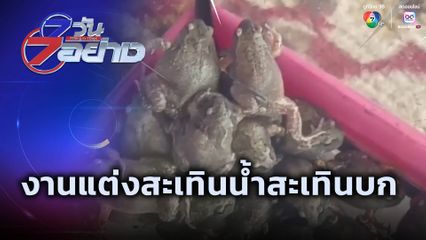 7 วัน 7 อย่าง : งานแต่งสะเทินน้ำสะเทินบก