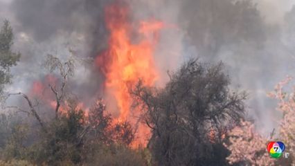 ไฟป่าแคลิฟอร์เนีย วอดแล้วเกือบ 2 แสนไร่