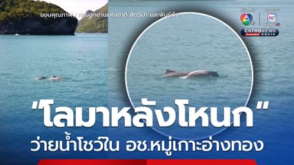 “โลมาหลังโหนก” ว่ายน้ำโชว์ใน อช.หมู่เกาะอ่างทอง