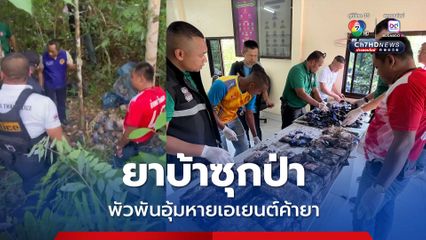 อึ้ง! พบยาบ้าซุกป่า 3.2 แสนเม็ด พัวพันอุ้มหาย “ฟิล์ม หลักช้าง” เอเยนต์ค้ายา