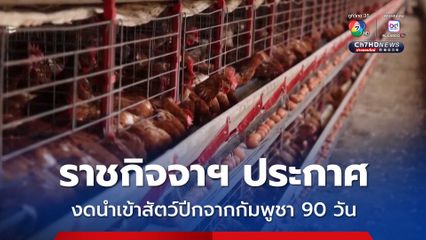 ไทย ชะลอนำเข้า “สัตว์ปีก” จากกัมพูชา 90 วัน หลังพบไข้หวัดนก H5N1 ระบาด