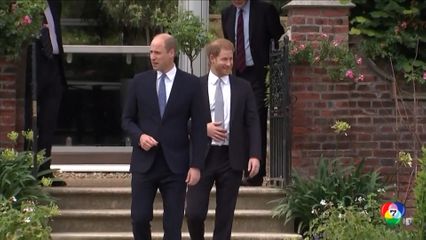 ไม่พบหลักฐานเจ้าชายแฮร์รี กลั่นแกล้งประธานองค์กรกุศล