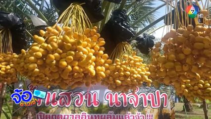 คนท้องกินฟรี อินทผลัม